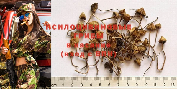MDMA Premium VHQ Карпинск