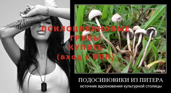 MDMA Premium VHQ Карпинск
