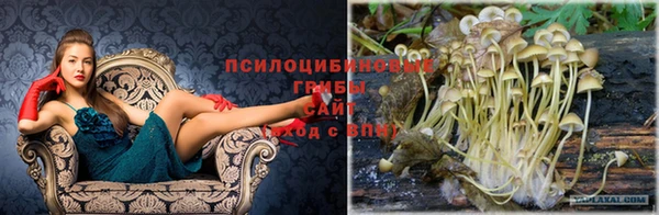 спиды Нефтекумск