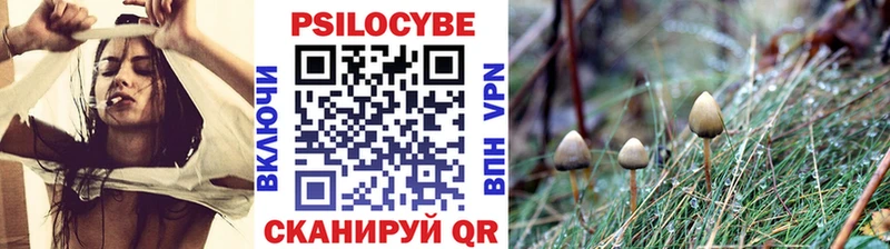 где можно купить   Томилино  Галлюциногенные грибы MAGIC MUSHROOMS 